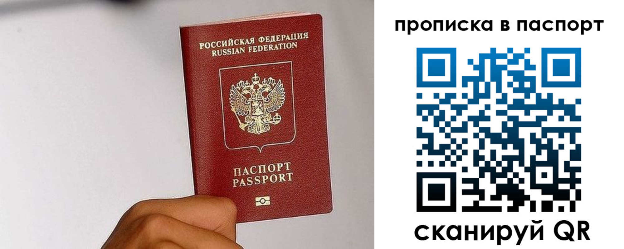 прописка для работы в Купино
